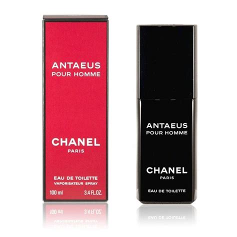 perfume da chanel feminino|melhores perfumes masculinos Chanel.